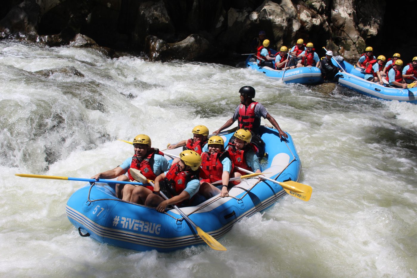Company Trips & Annual Dinners